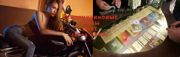 гидропоника Бородино