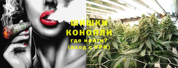гидропоника Бородино