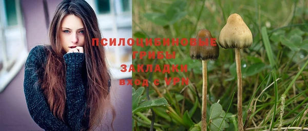 гидропоника Бородино