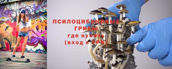 гидропоника Бородино