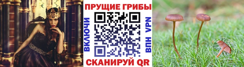 Псилоцибиновые грибы ЛСД Саранск